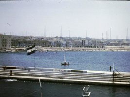 PICT0020
