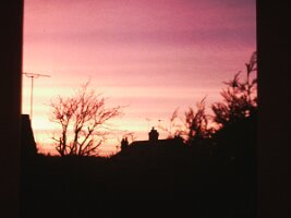 PICT0082