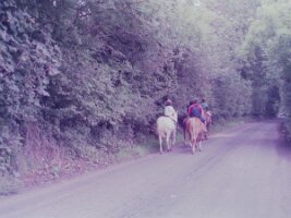 PICT0009