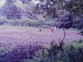 PICT0010