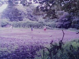 PICT0012