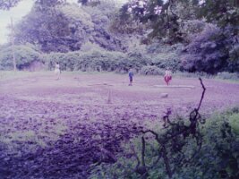 PICT0013