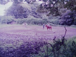 PICT0014