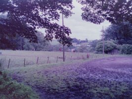 PICT0016