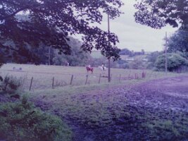 PICT0017