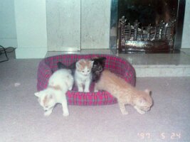 PICT0395