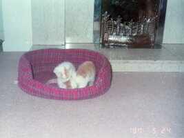 PICT0396