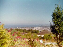 PICT0416