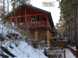 New Year Day 2011