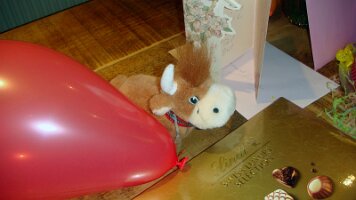 DSC05899