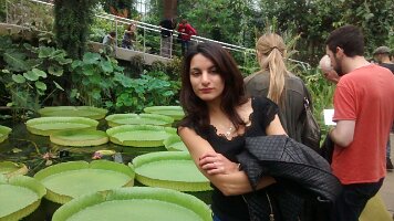 IMG_20150816_171954301