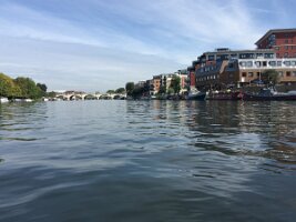 IMG_3542
