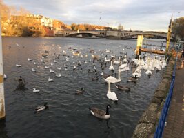 IMG_4049