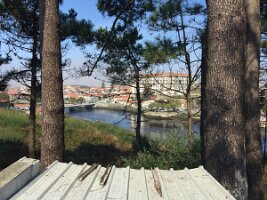 IMG_3858