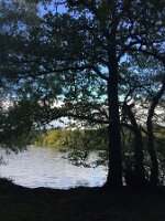 IMG_3963