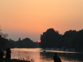 IMG_4003