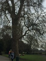 IMG_4383