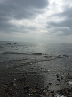 IMG_4395