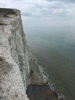 IMG_4442