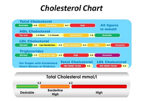 10 Cholesterol Chart