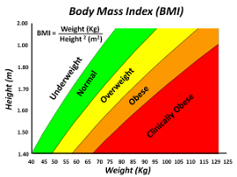 12 Body Mass Index (BMI)