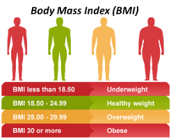 13 Body Mass Index (BMI)