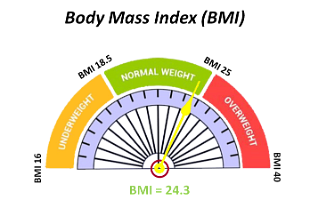 14 Body Mass Index (BMI)