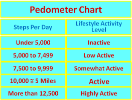 18 Pedometer Chart