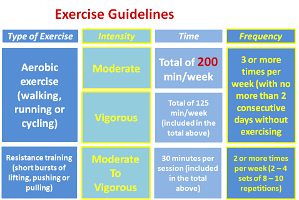 19 Exercise Guidlines
