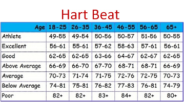 9 Hart Beat